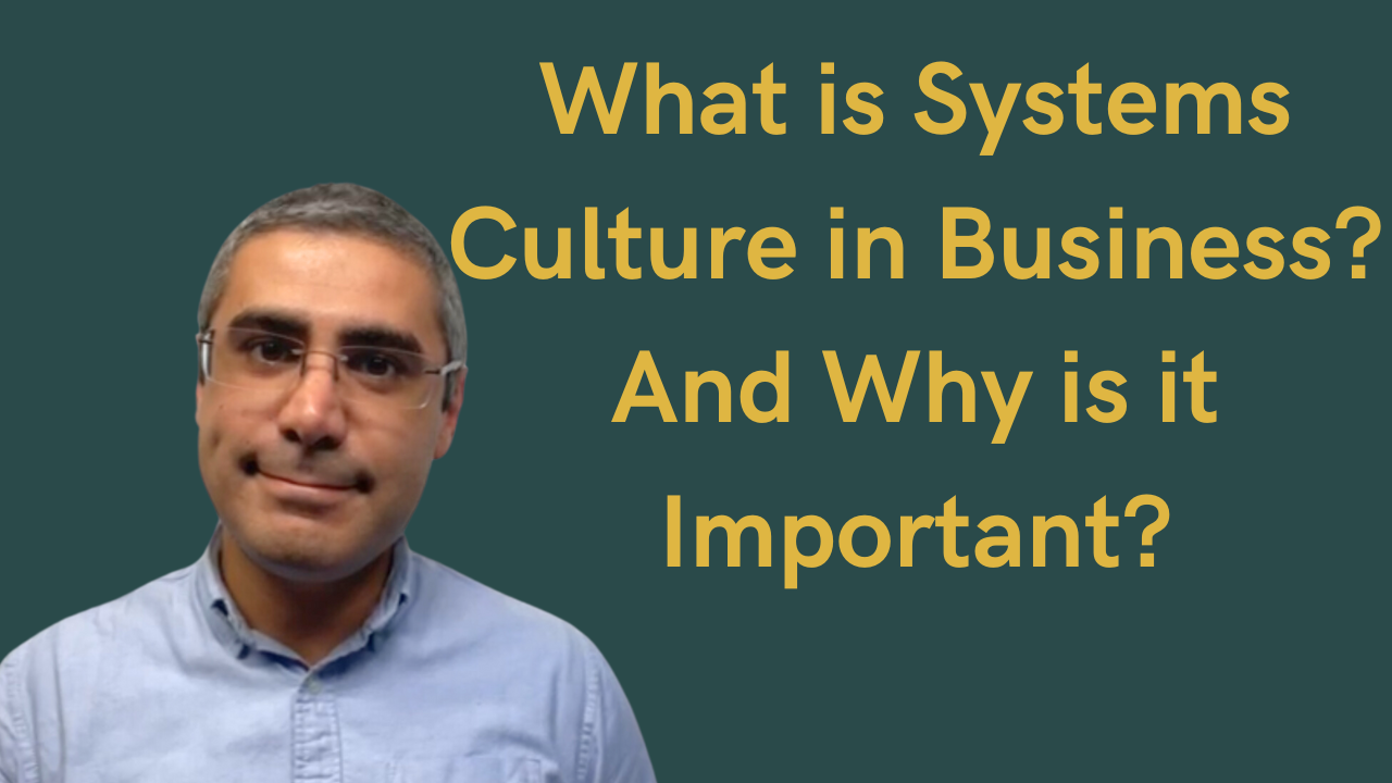 What is Systems Culture in Business? And Why it is Important?