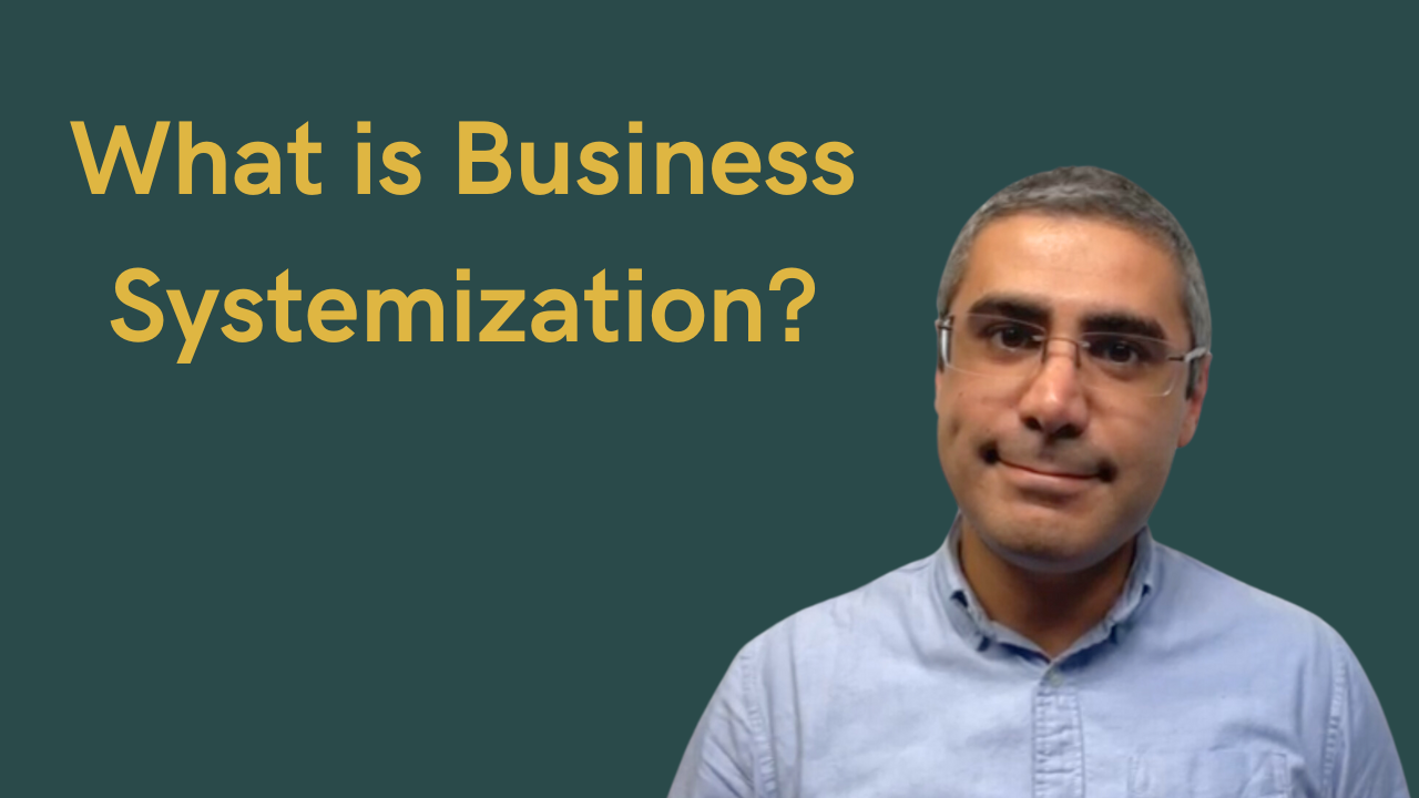 What is Business Systemization?